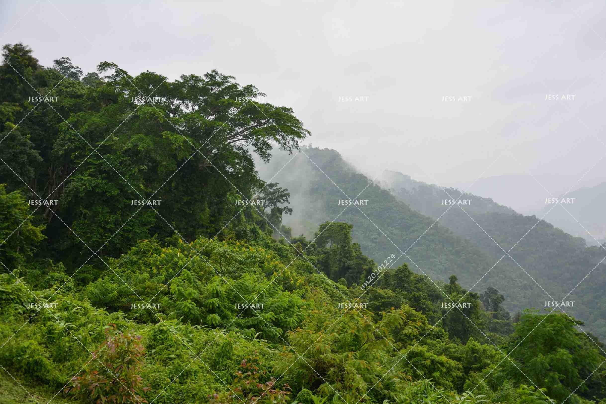 3D Sky Green Forest Wall Mural Wallpaper LQH 48- Jess Art Decoration