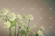 3D Green Flowers Wall Mural Wallpaper SF86- Jess Art Decoration