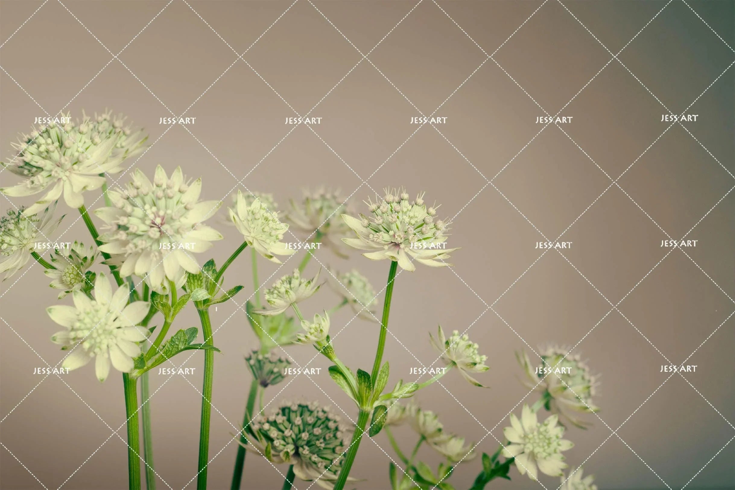 3D Green Flowers Wall Mural Wallpaper SF86- Jess Art Decoration