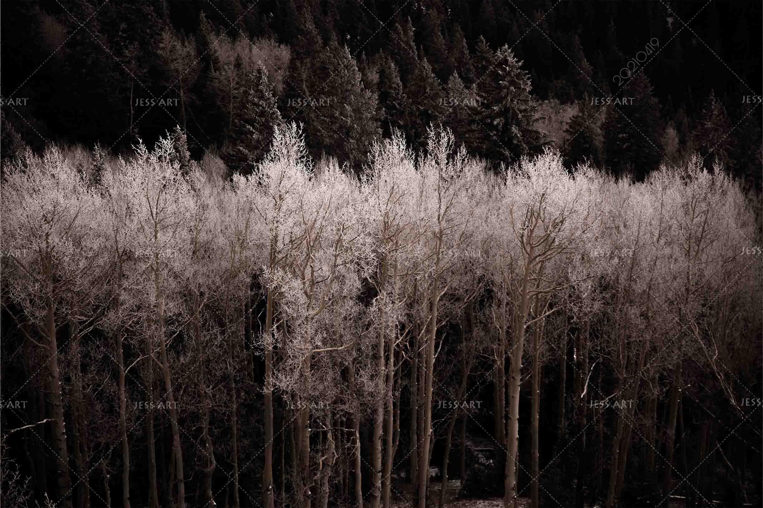 3D Forest Landscape Wall Mural Wallpaper LQH 11- Jess Art Decoration