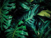 3D Tropical Green Leaf Wall Mural Wallpaper LQH 14- Jess Art Decoration