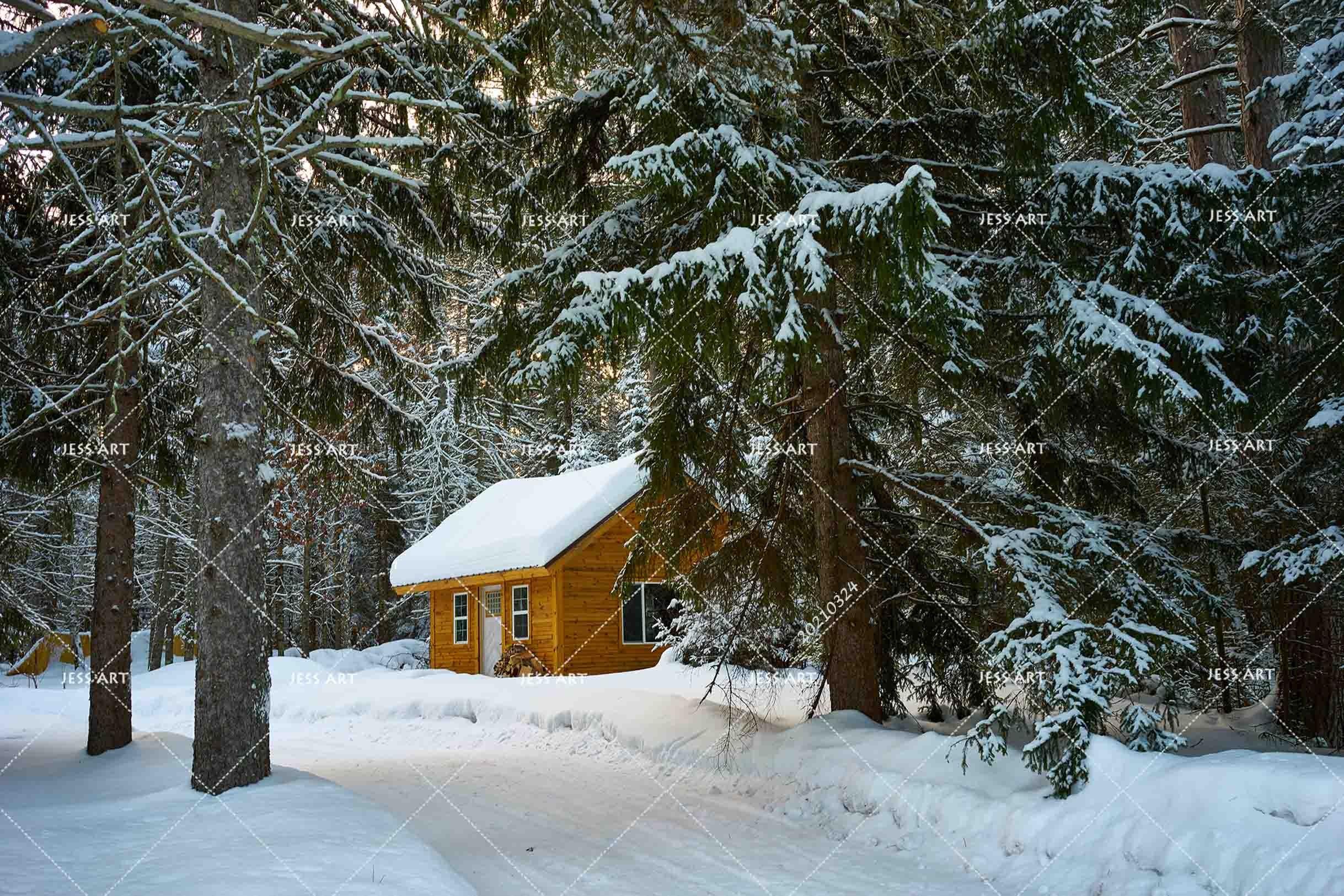 3D Snow Forest House Landscape Wall Mural Wallpaper LQH 340- Jess Art Decoration