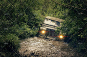 3D Green Forest Truck Wall Mural Wallpaper LQH 116- Jess Art Decoration