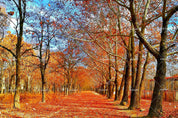 3D Autumn Forest Nature Landscape Wall Mural Wallpaper LQH 351- Jess Art Decoration