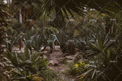 3D Tropical Jungle Scenery Wall Mural Wallpaper LQH 29- Jess Art Decoration