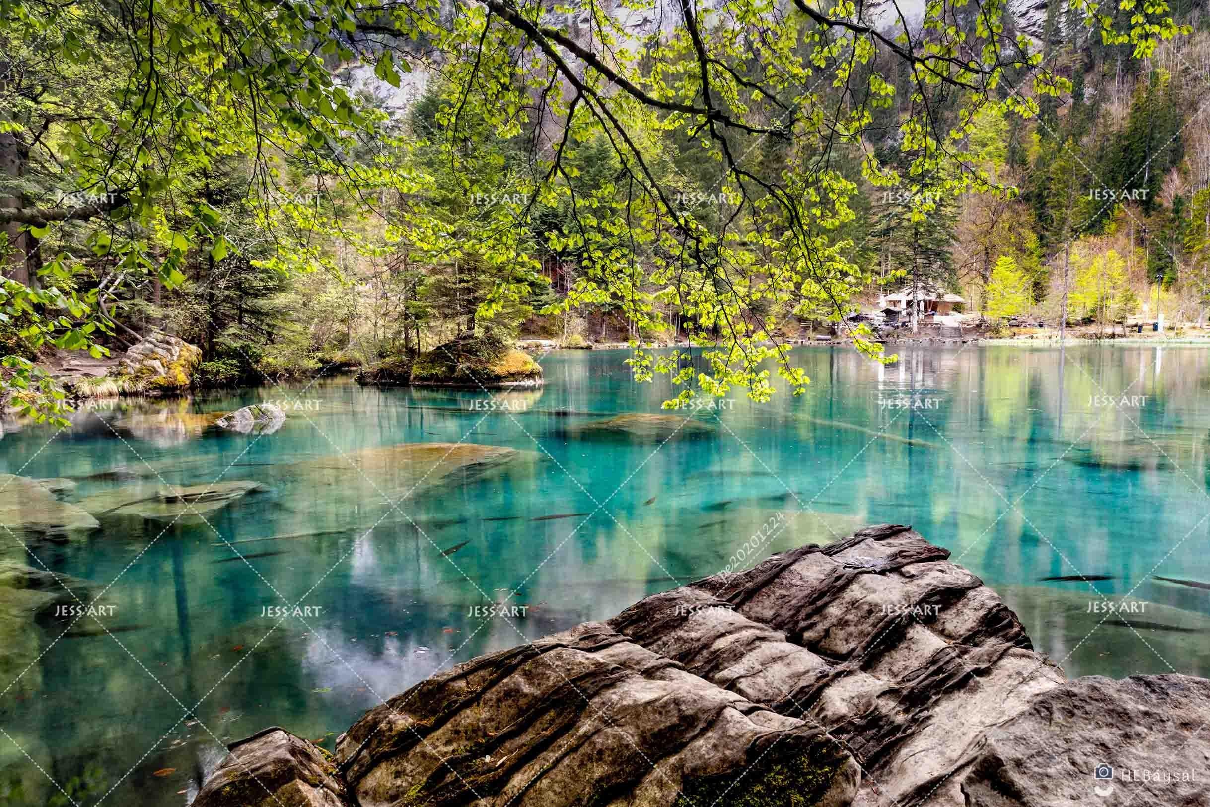 3D Landscape Green Forest Lake Wall Mural Wallpaper LQH 667- Jess Art Decoration