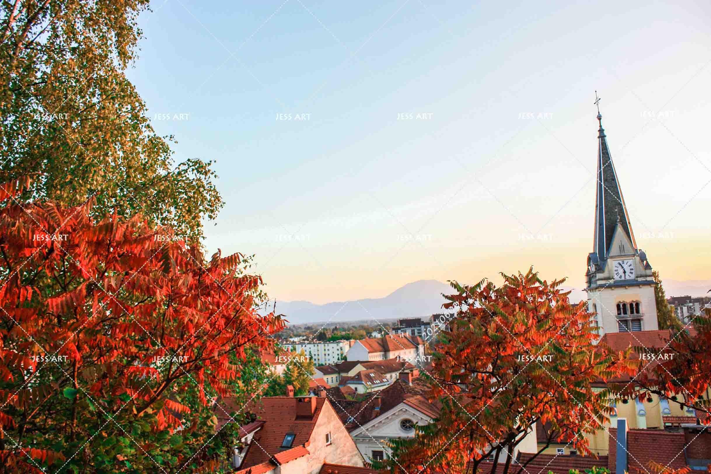 3D Red Maple Blue Sky Village Wall Mural Wallpaper SWW884- Jess Art Decoration