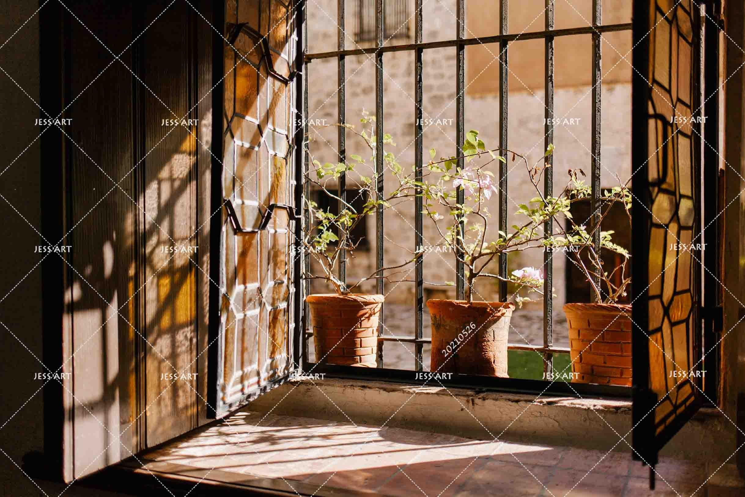 3D Window  Potted Plant Sunny Wall  Mural Wallpaper SWW330- Jess Art Decoration