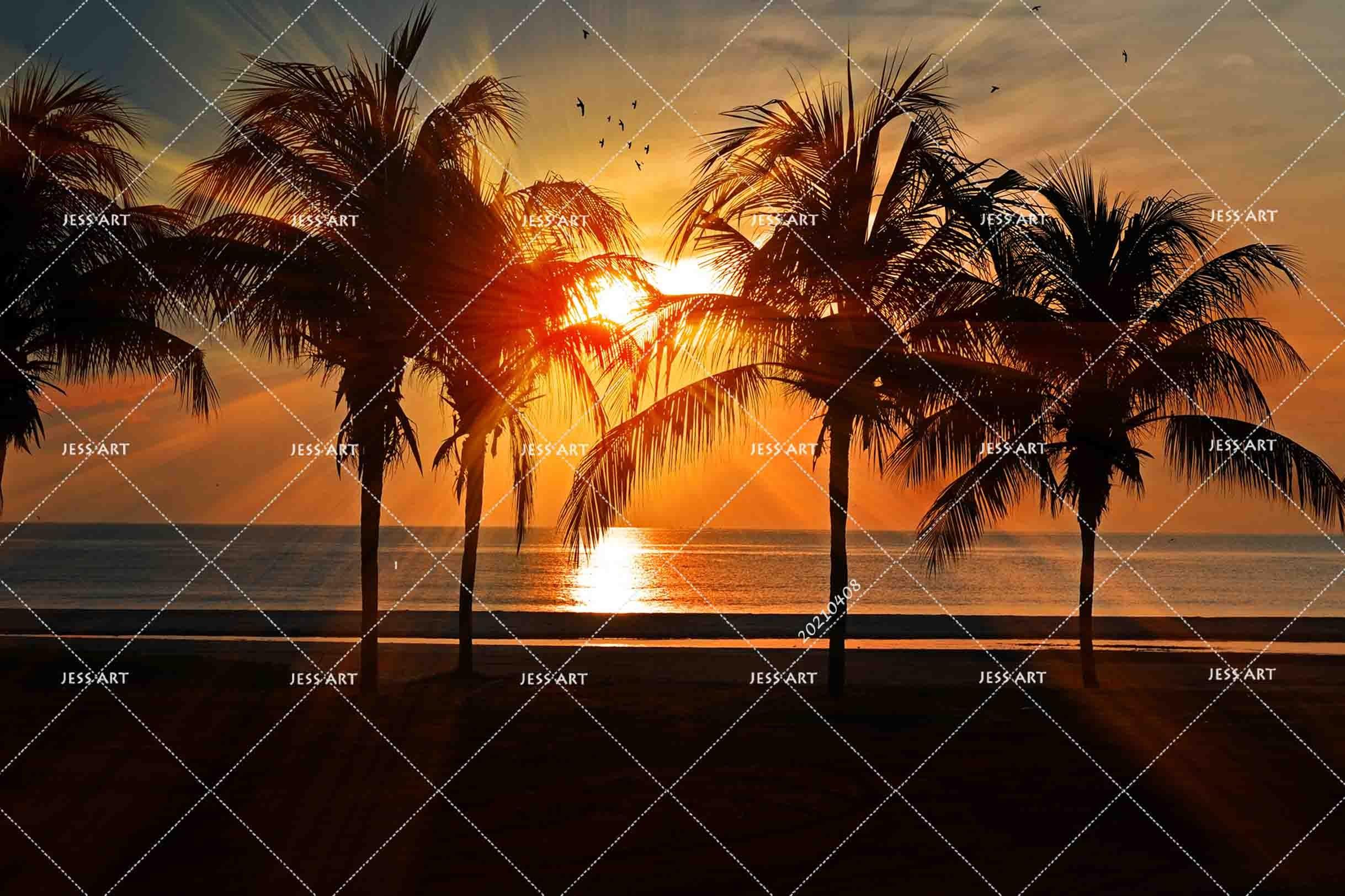 3D Sunset Sky Beach Coconut Tree Wall Mural Wallpaper LQH 75- Jess Art Decoration
