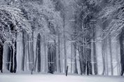 3D Winter Snow Tree Forest Wall Mural Wallpaper SWW392- Jess Art Decoration