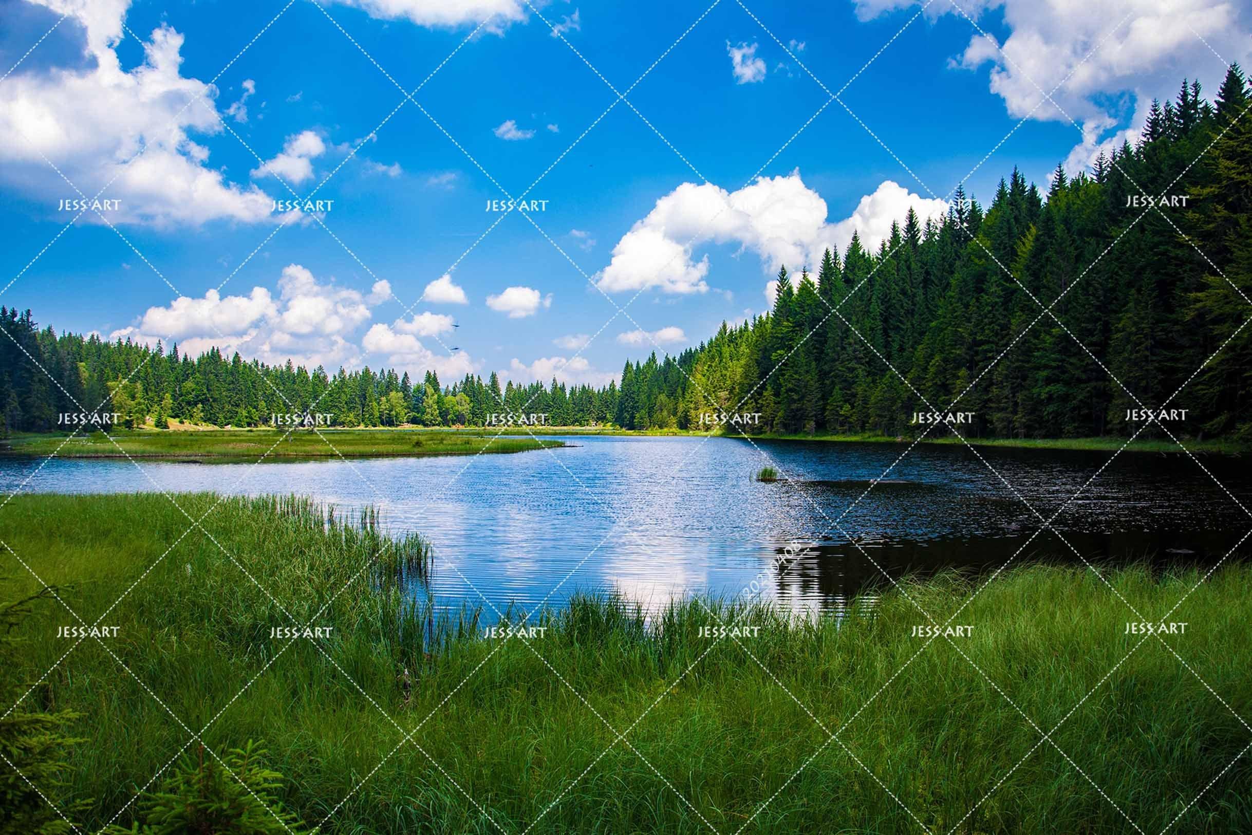 3D Blue Sky Lake Forest Landscape Wall Mural Wallpaper LQH 80- Jess Art Decoration