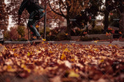 3D Pexels Fall Maple Leaves Street Skateboard Wall Mural Wallpaper LXL- Jess Art Decoration