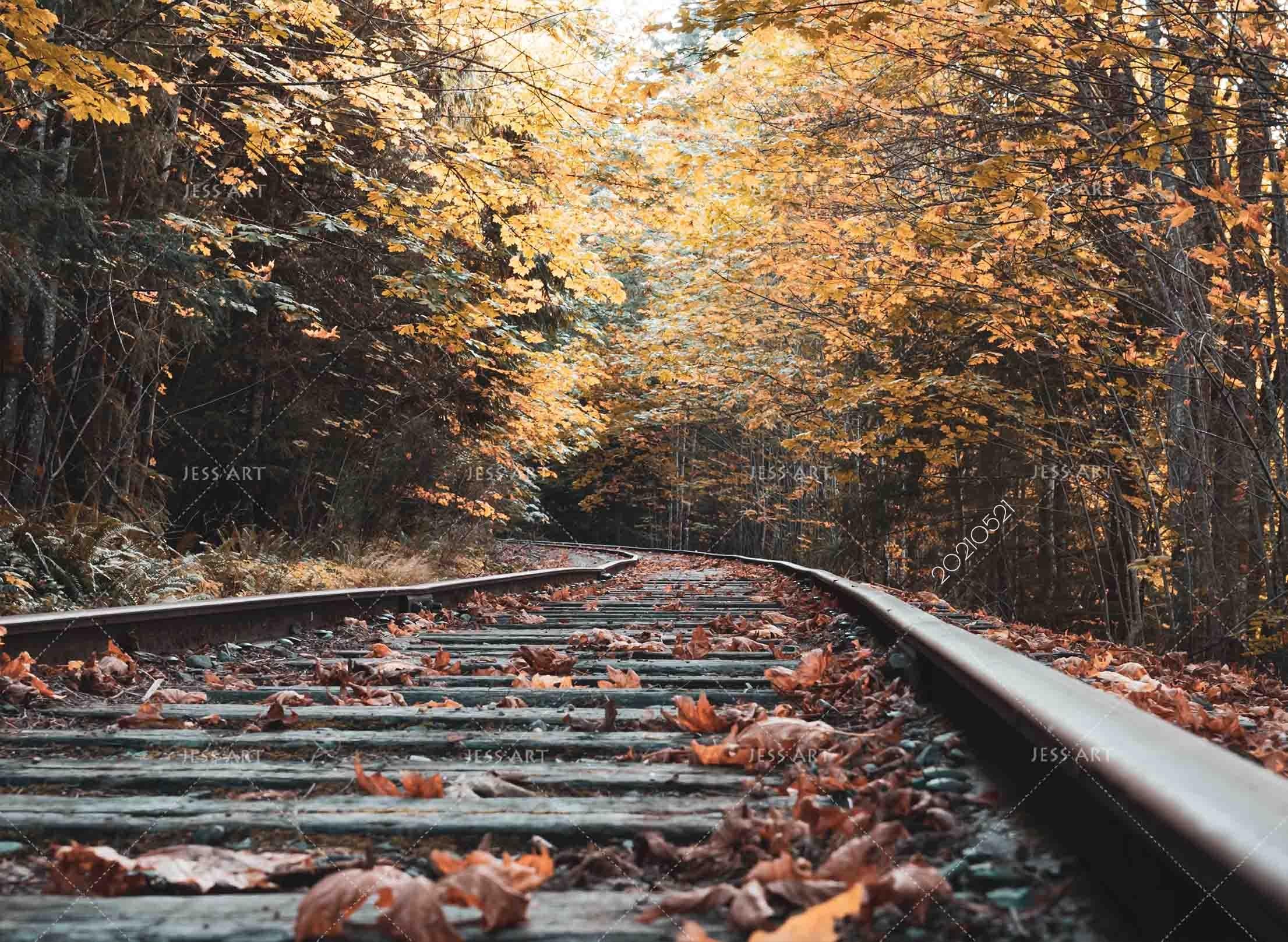 3D Autumn Forest Railroad Track Landscape Wall Mural Wallpaper LQH 40- Jess Art Decoration