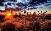 3D Gobi Desert Cactus Setting Sun Wall Mural Wallpaper SWW3062- Jess Art Decoration