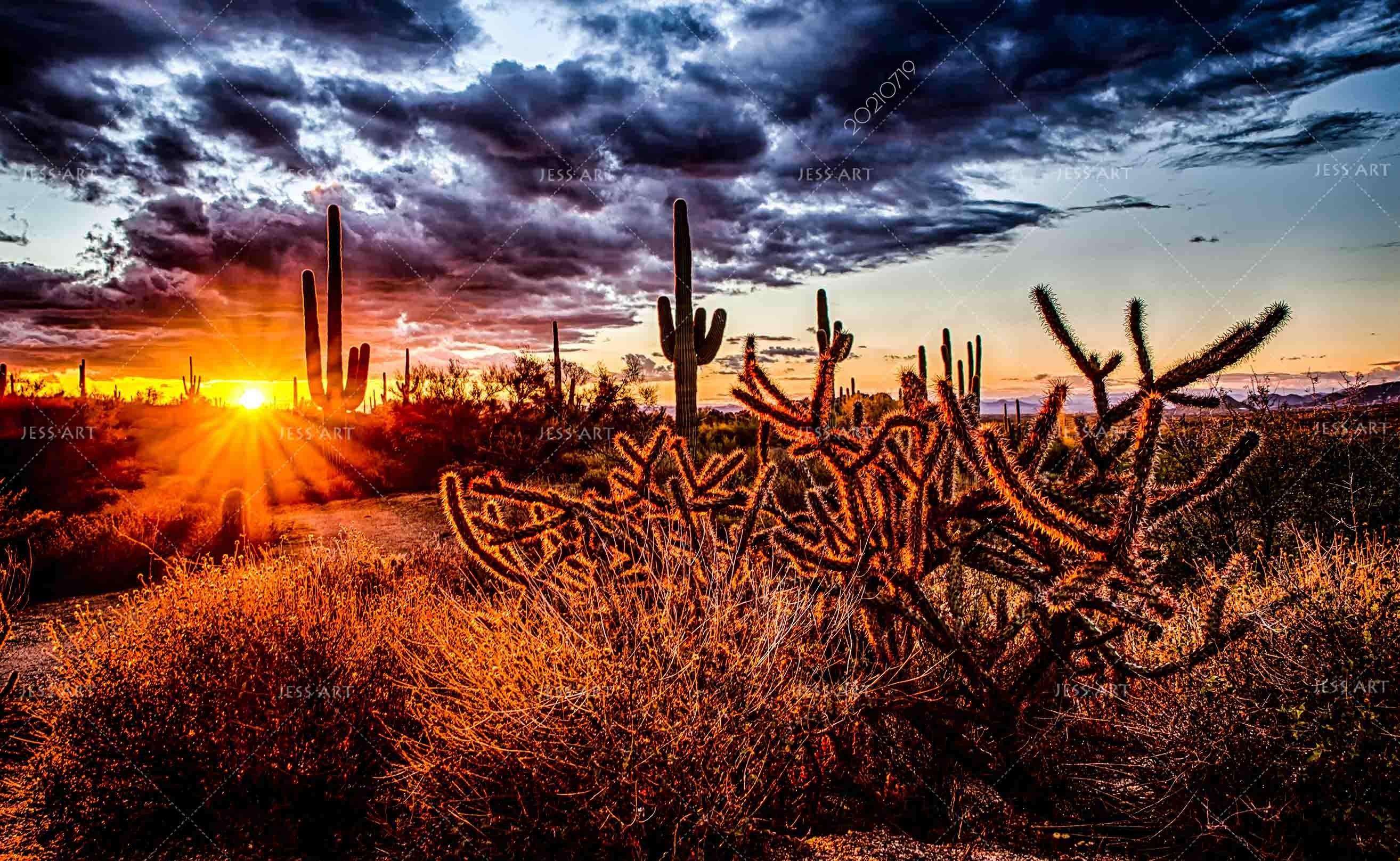 3D Gobi Desert Cactus Setting Sun Wall Mural Wallpaper SWW3062- Jess Art Decoration