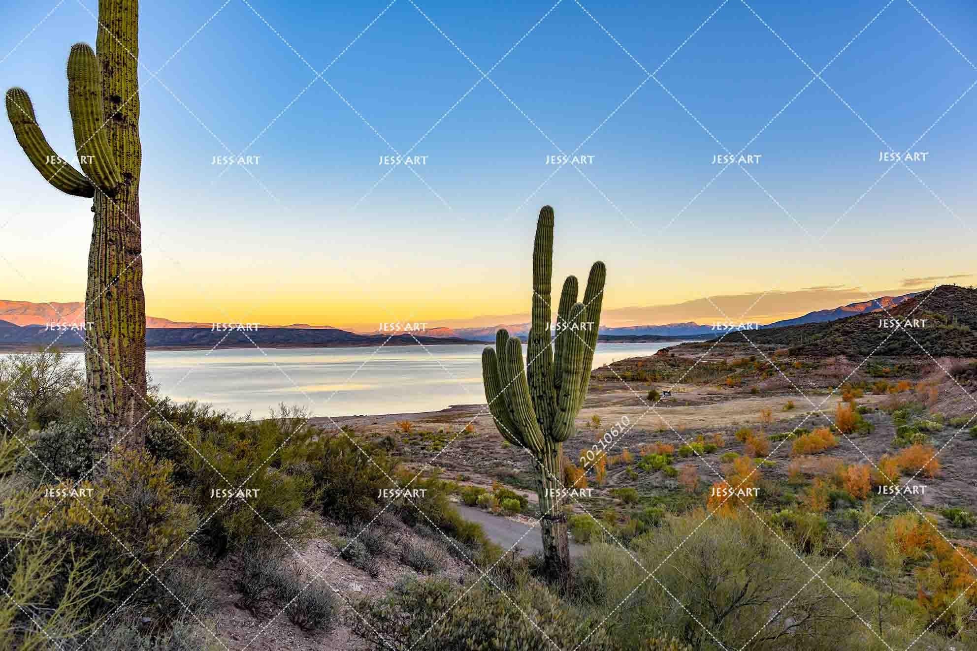 3D Desert Lakes Cactus Blue Sky  Setting Sun Wall Mural Wallpaper SWW1879- Jess Art Decoration