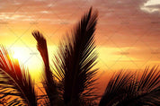 3D Sunset Sky Palm Landscape Wall Mural Wallpaper LQH 257- Jess Art Decoration
