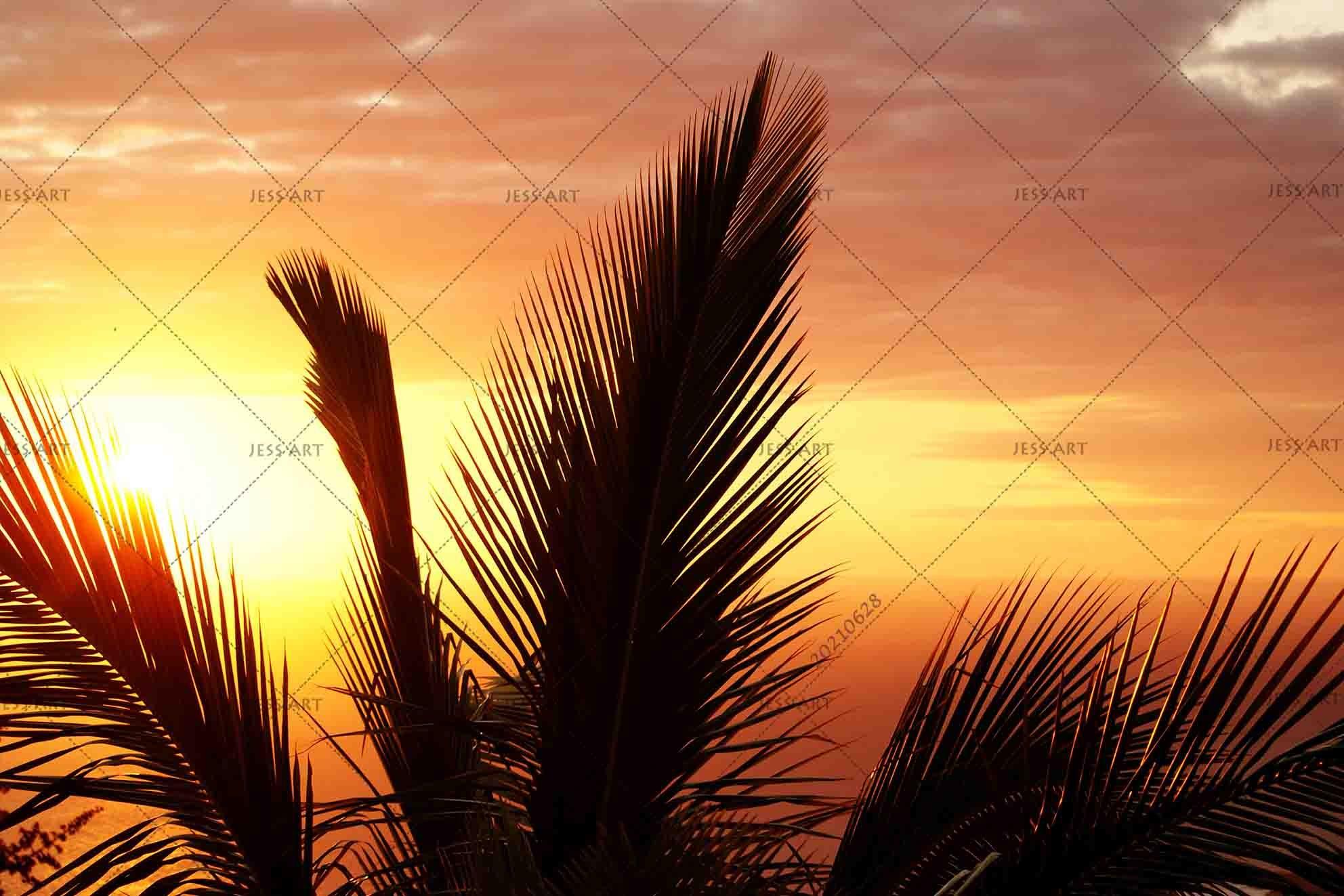 3D Sunset Sky Palm Landscape Wall Mural Wallpaper LQH 257- Jess Art Decoration