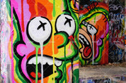 3D Abstract Graffiti Cartoon Cry Color Wall Mural Wallpaper SWW245- Jess Art Decoration
