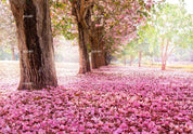 3D Pink Blossom Tree spring blossom landscape wall mural wallpaper for living room - view 5