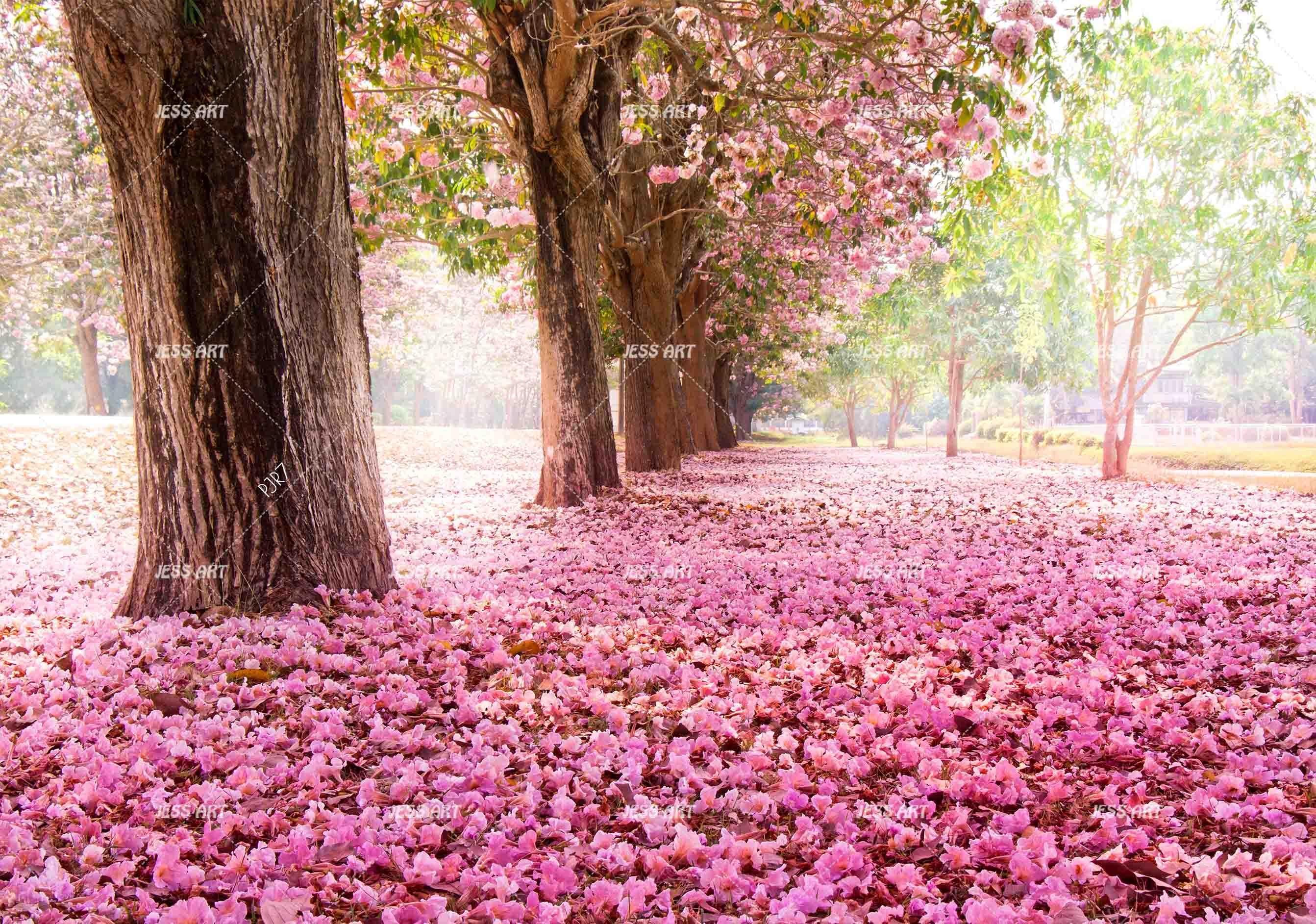 3D Pink Blossom Tree spring blossom landscape wall mural wallpaper for living room - view 5