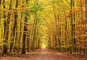 3D Golden Autumn Forest golden autumn forest path wall mural wallpaper for living room - view 10