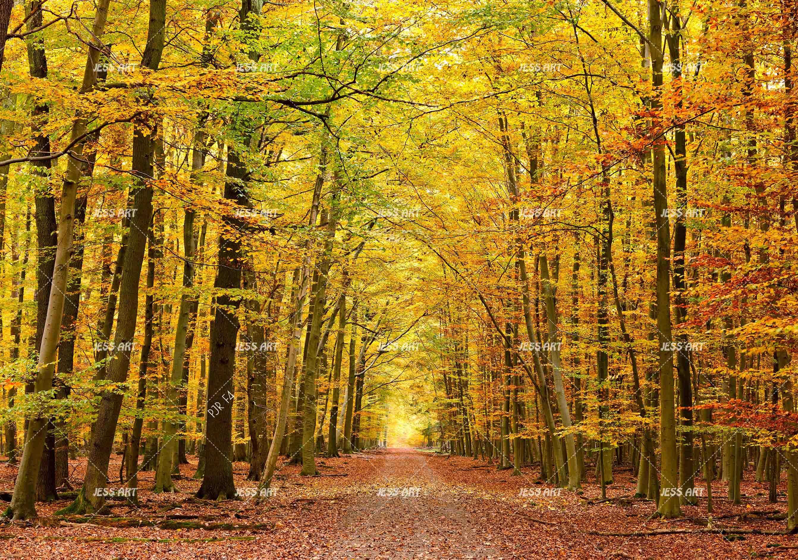 3D Golden Autumn Forest golden autumn forest path wall mural wallpaper for living room - view 10