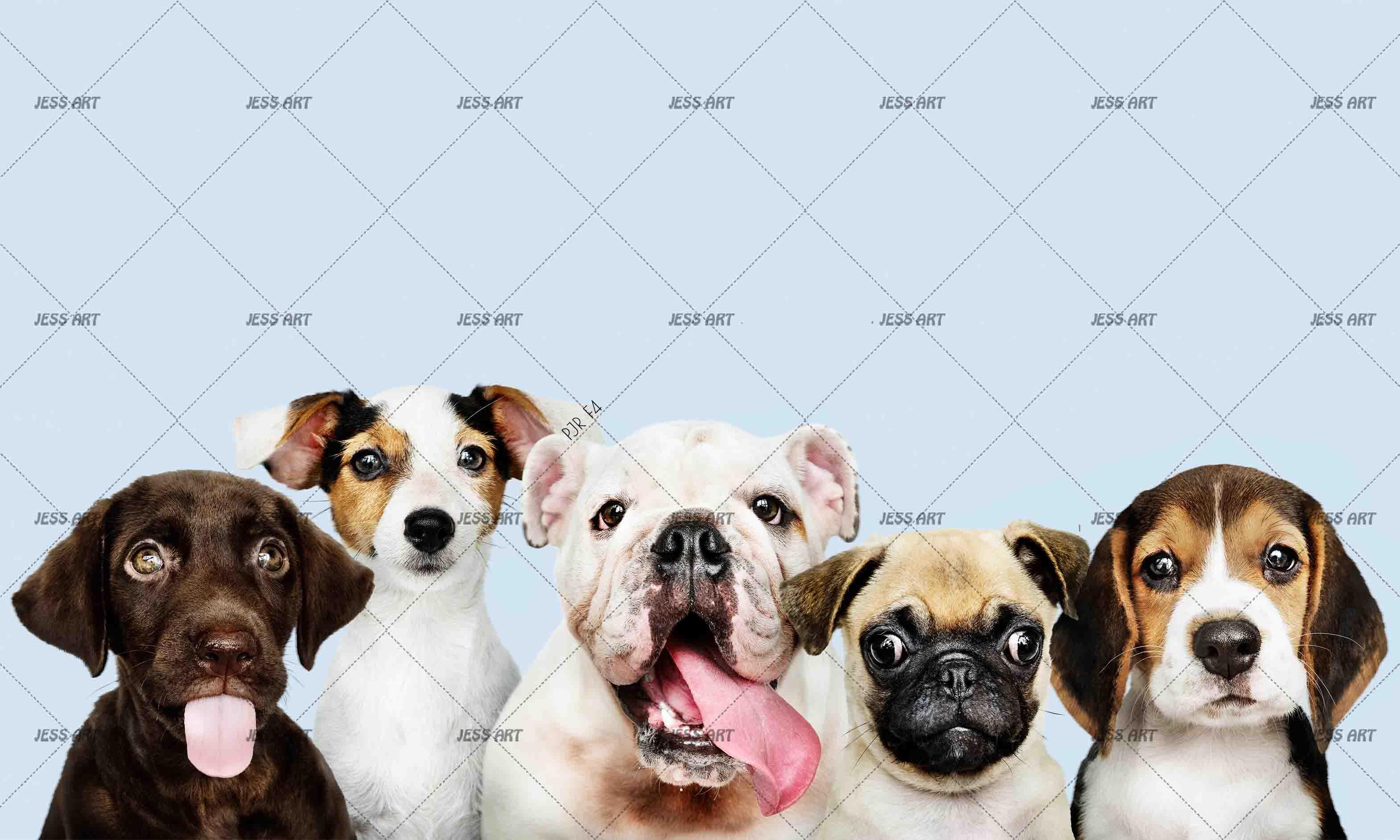 3D Cute Dog Portraits dog portrait animal mural wall mural wallpaper for kids room - view 4