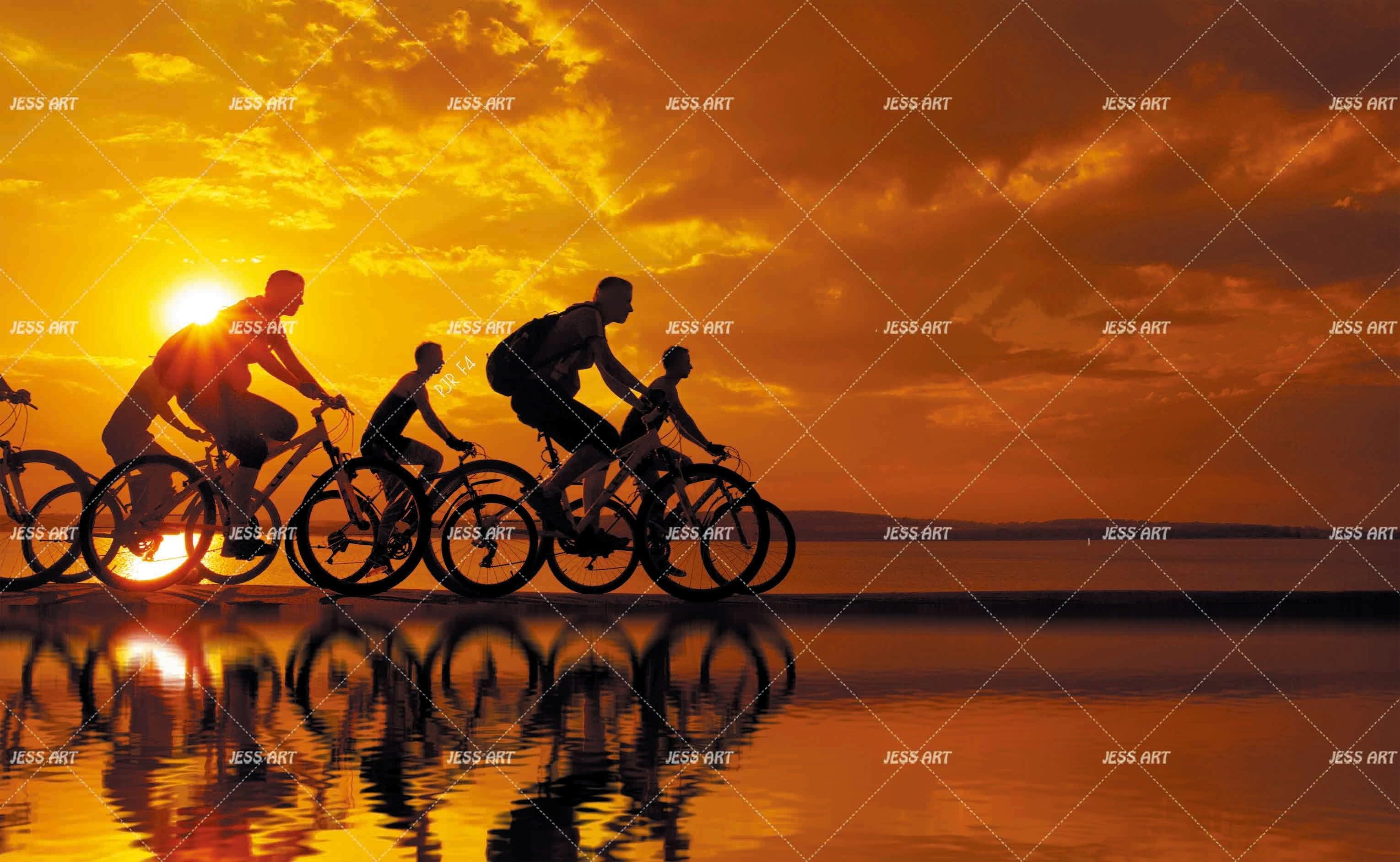 3D Landscape Sport Bicycle Cloud Wall Mural Wallpaper WJ 5160- Jess Art Decoration