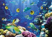 3D Underwater Fish Reef colourful coral reef fish scene wall mural wallpaper for kids room - view 10