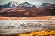 3D Mountains Flamingo Wall Mural Wallpaper SF93- Jess Art Decoration