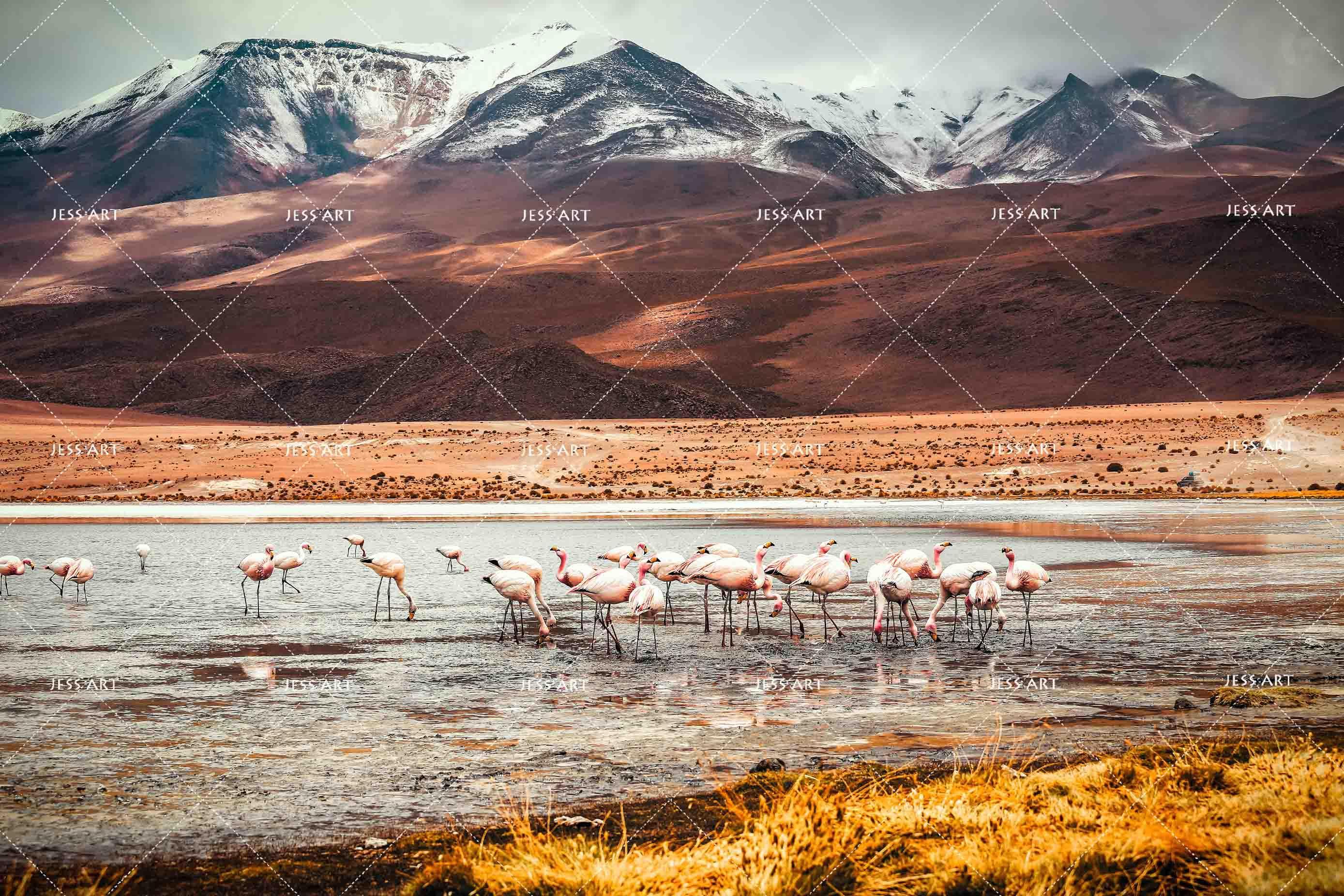 3D Mountains Flamingo Wall Mural Wallpaper SF93- Jess Art Decoration
