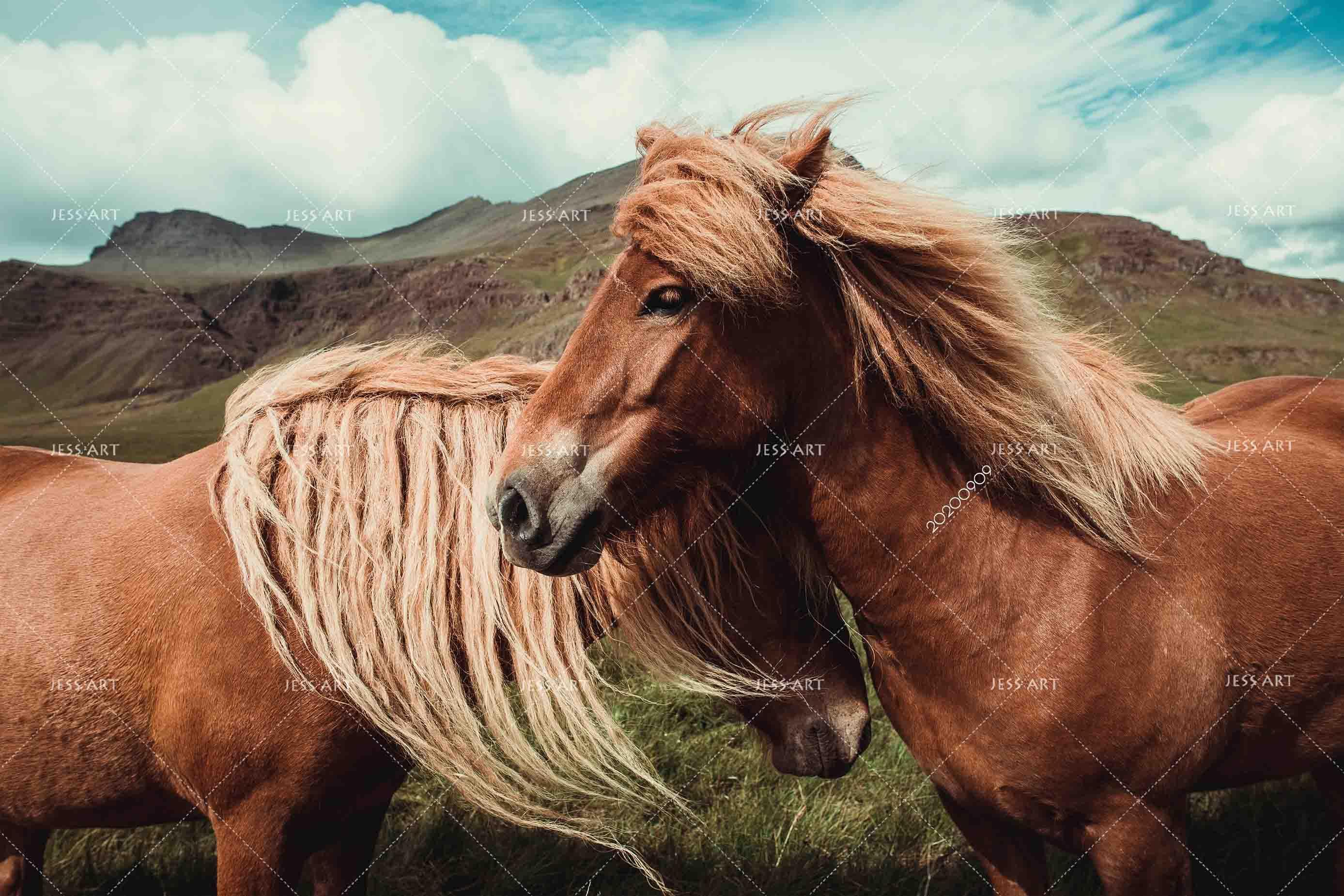 3D Cloud Green Mountain Horse Animal Wall Mural Wallpaper LXL- Jess Art Decoration