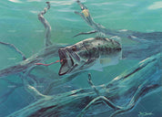 3D Ocean Fish Oil Painting Wall Mural Wallpaper 70- Jess Art Decoration