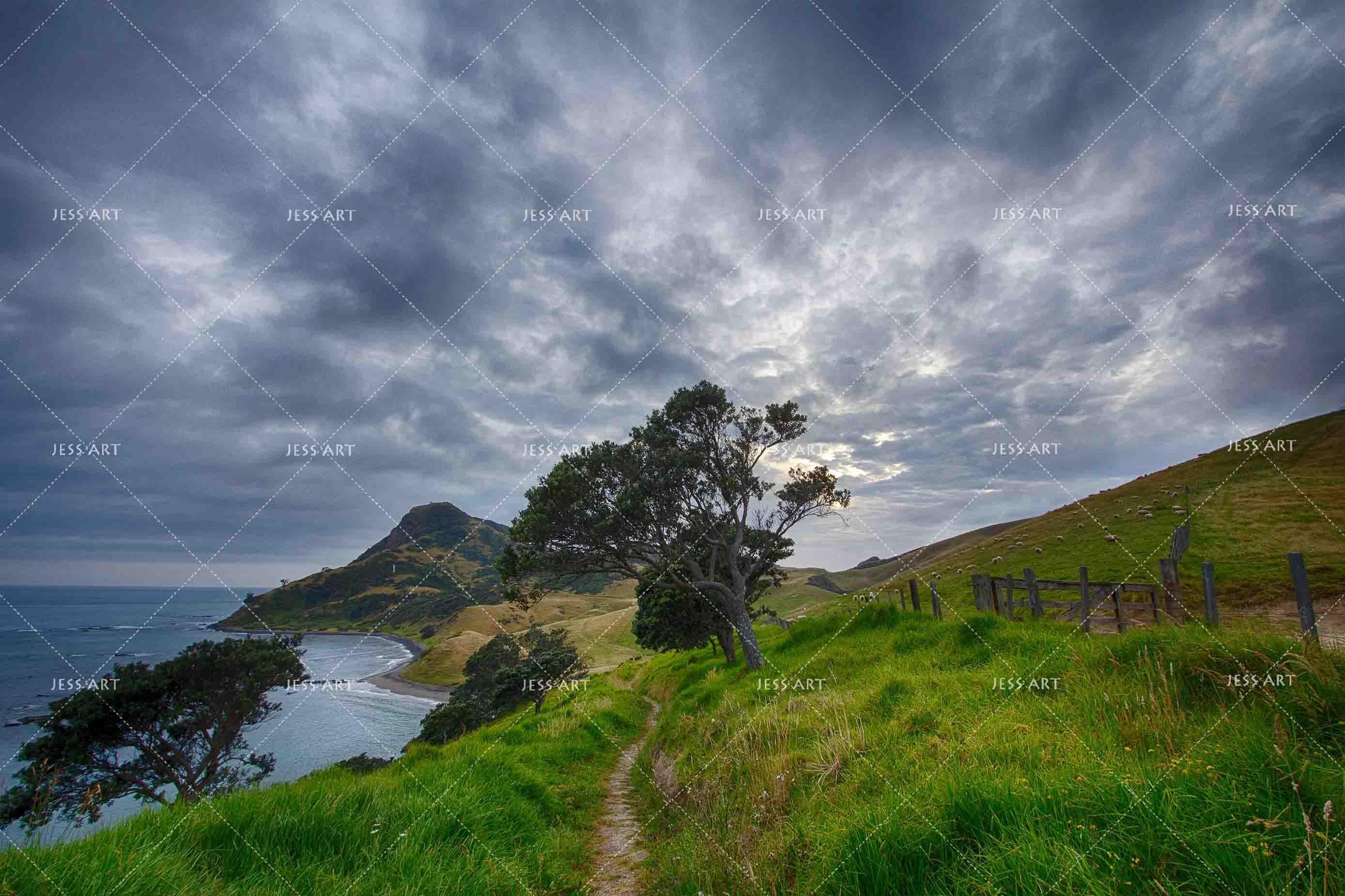 3D Sky Sea Grassland Tree Landscape Wall Mural Wallpaper SF56- Jess Art Decoration