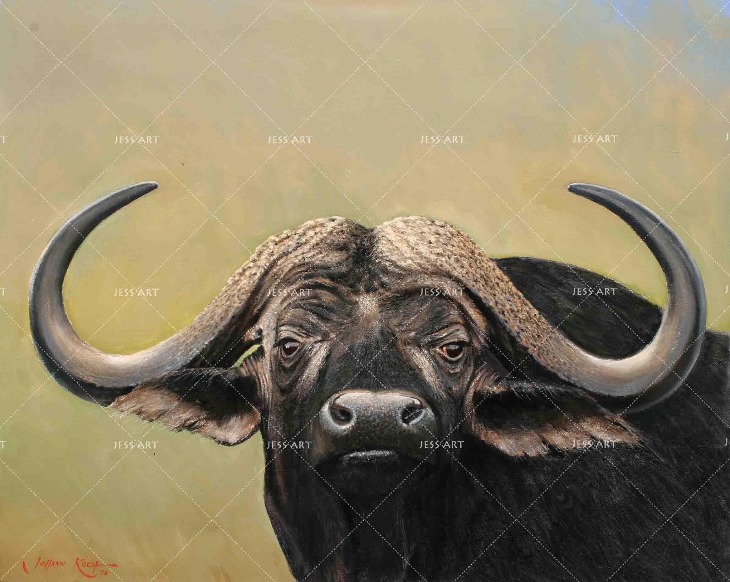 3D Buffalo Head Close-up Wall Mural Wallpaper 22- Jess Art Decoration
