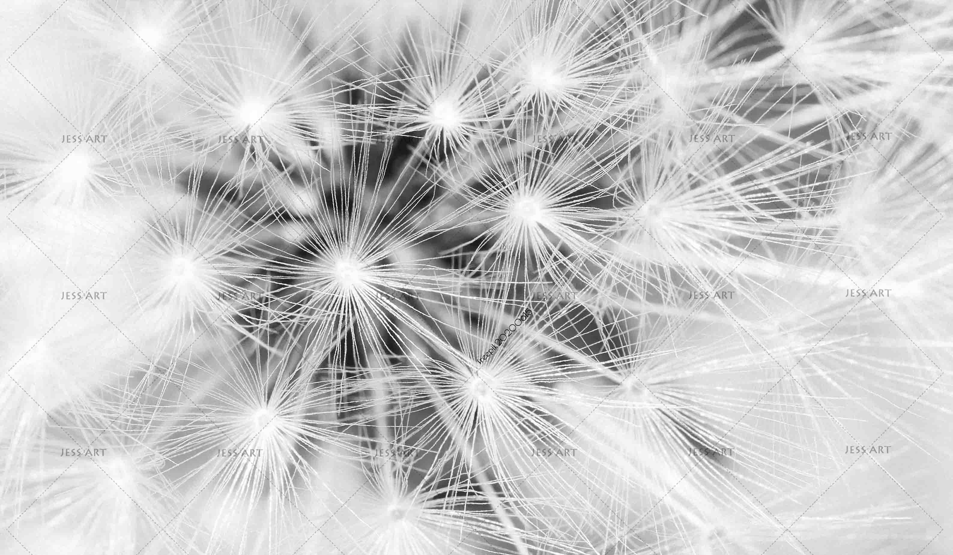 3D Dandelion Pattern Wall Mural Wallpaper A016 LQH- Jess Art Decoration
