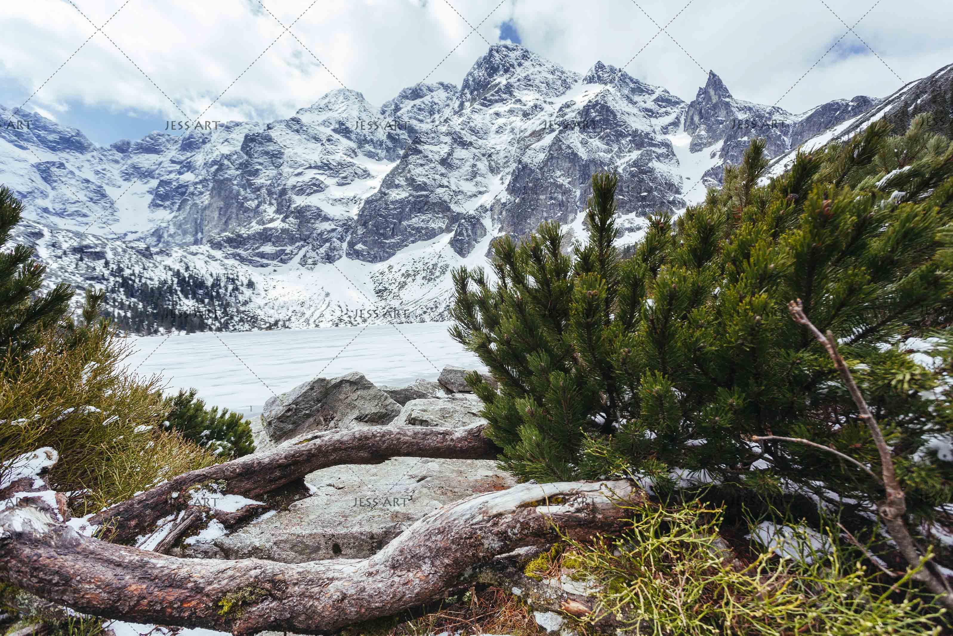 3D Snow Mountain Scenery Wall Mural Wallpaper 4- Jess Art Decoration