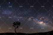 3D landscape silhouette tree milky way galaxy space dust universe wall mural wallpaper 49- Jess Art Decoration