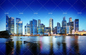3D cityscape singapore panoramic night concept wall mural wallpaper 21- Jess Art Decoration