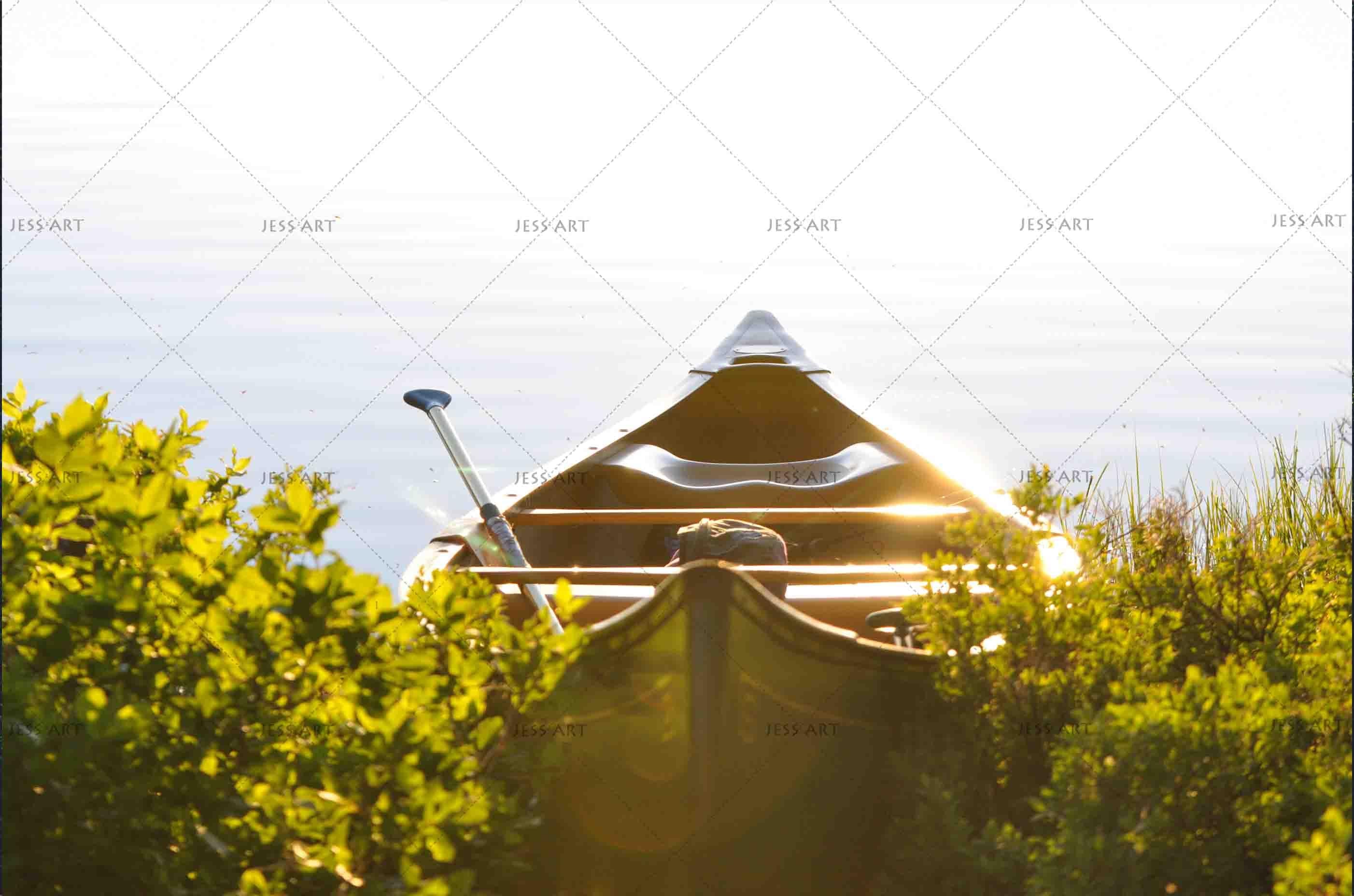 3D Boat Plants Wall Mural Wallpaper SF70- Jess Art Decoration