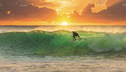 3D Sunset Surf Sea Wave Wall Mural Wallpaper 130- Jess Art Decoration