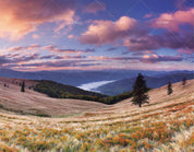 3D Sky Clouds Grassland Hill Wall Mural Wallpaper 120- Jess Art Decoration