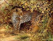 3D African Steppe Leopard Wall Mural Wallpaper 33- Jess Art Decoration
