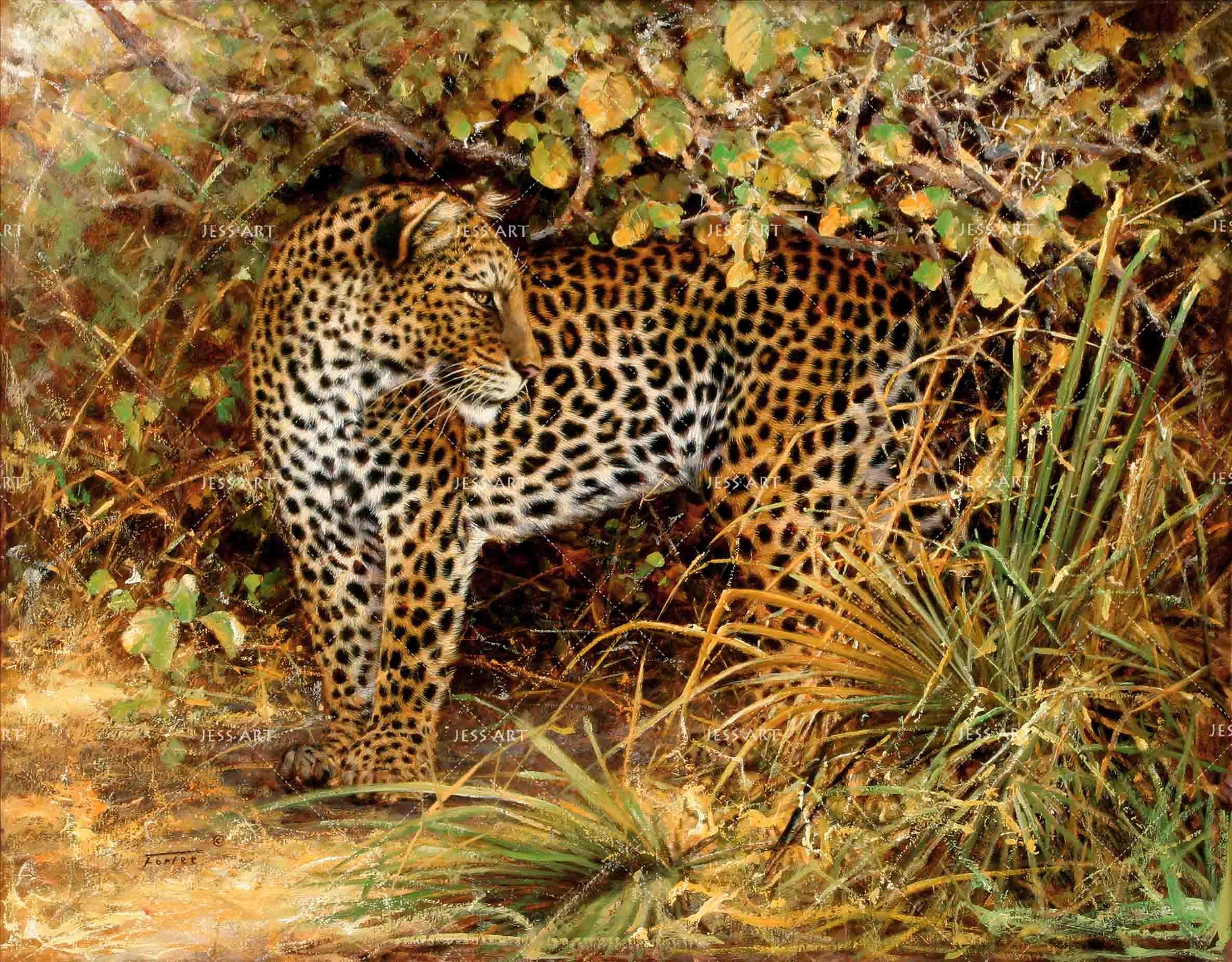 3D African Steppe Leopard Wall Mural Wallpaper 33- Jess Art Decoration