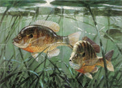 3D Underwater School Of Fish Wall Mural Wallpaper 55- Jess Art Decoration