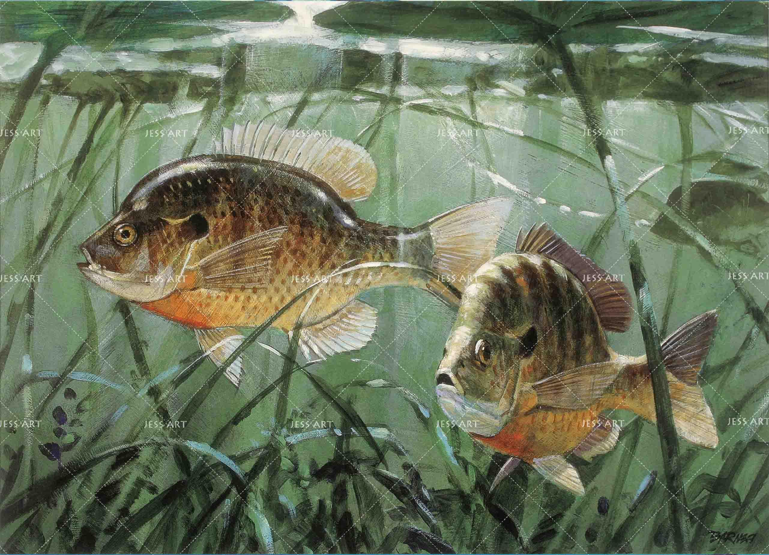 3D Realistic Sea Weed Fish Wall Mural Wallpaper LXL 1648- Jess Art Decoration