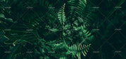 3D Green Tropical Rainforest Leaves Wall Mural Wallpaper SF98- Jess Art Decoration