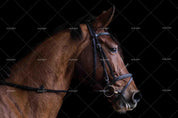 3D Animal Brown Horse Wall Mural Wallpaper LQH 75- Jess Art Decoration