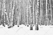 3D Hand Drawn Birch Forest Wall Mural Wallpaper LQH 18- Jess Art Decoration